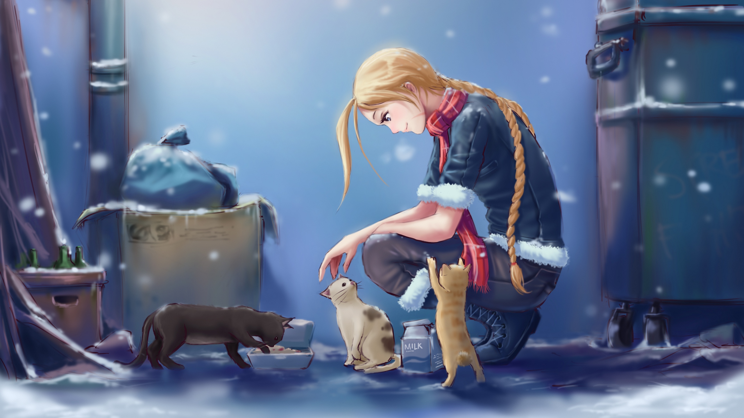 Street Fighter Cammy Cat - HD Wallpaper 