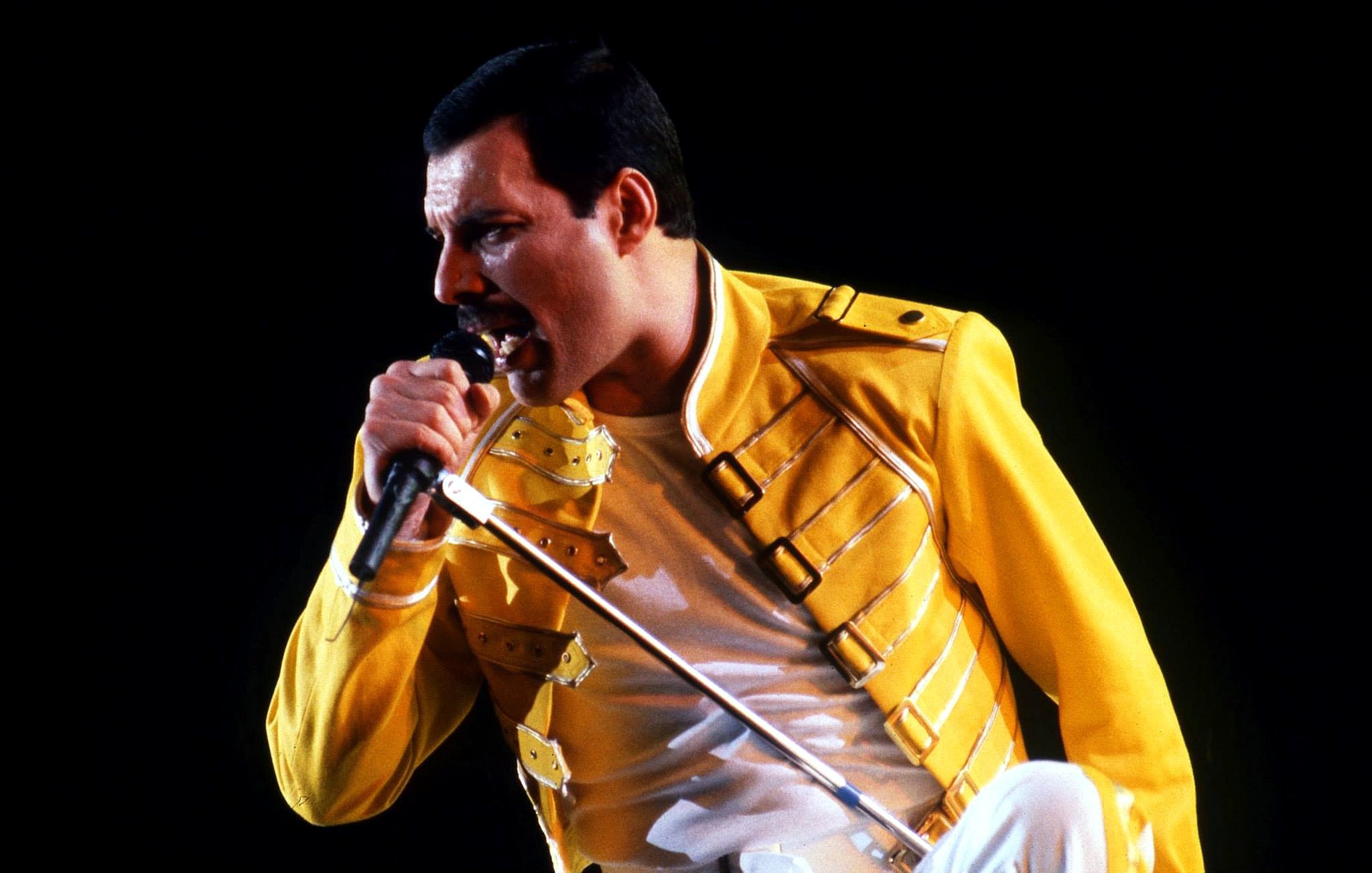 Freddie Mercury Wallpaper Hd - HD Wallpaper 