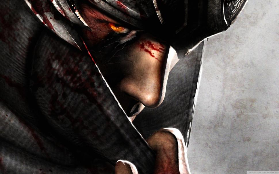 Ninja Gaiden Wallpaper,game Hd Wallpaper,games Hd Wallpaper,2560x1440 - Ryu Hayabusa Ninja Gaiden - HD Wallpaper 