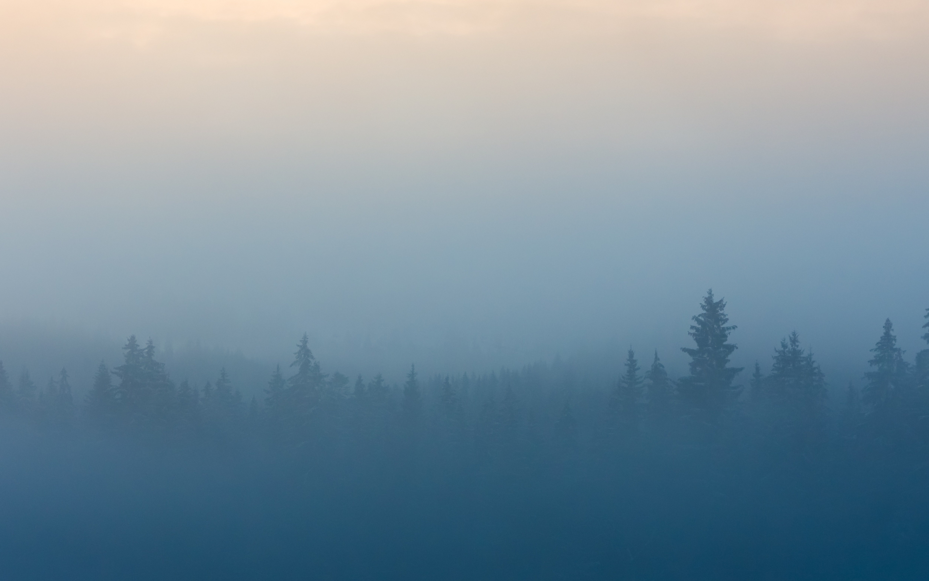 Mist, Fog, Forest, Dawn, Nature, Wallpaper - Mist - HD Wallpaper 