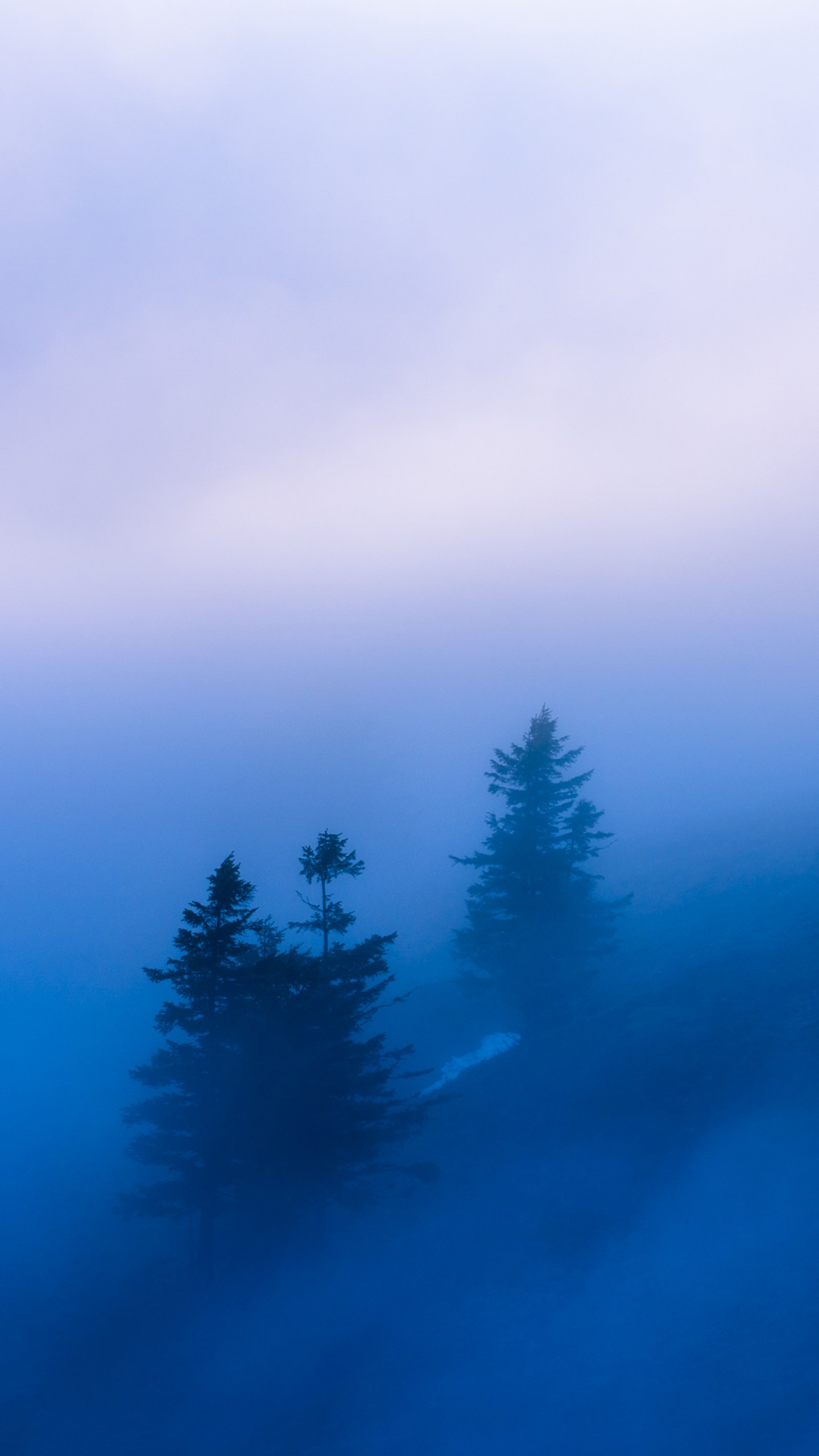 White Pine Obituaries - 346b2pq