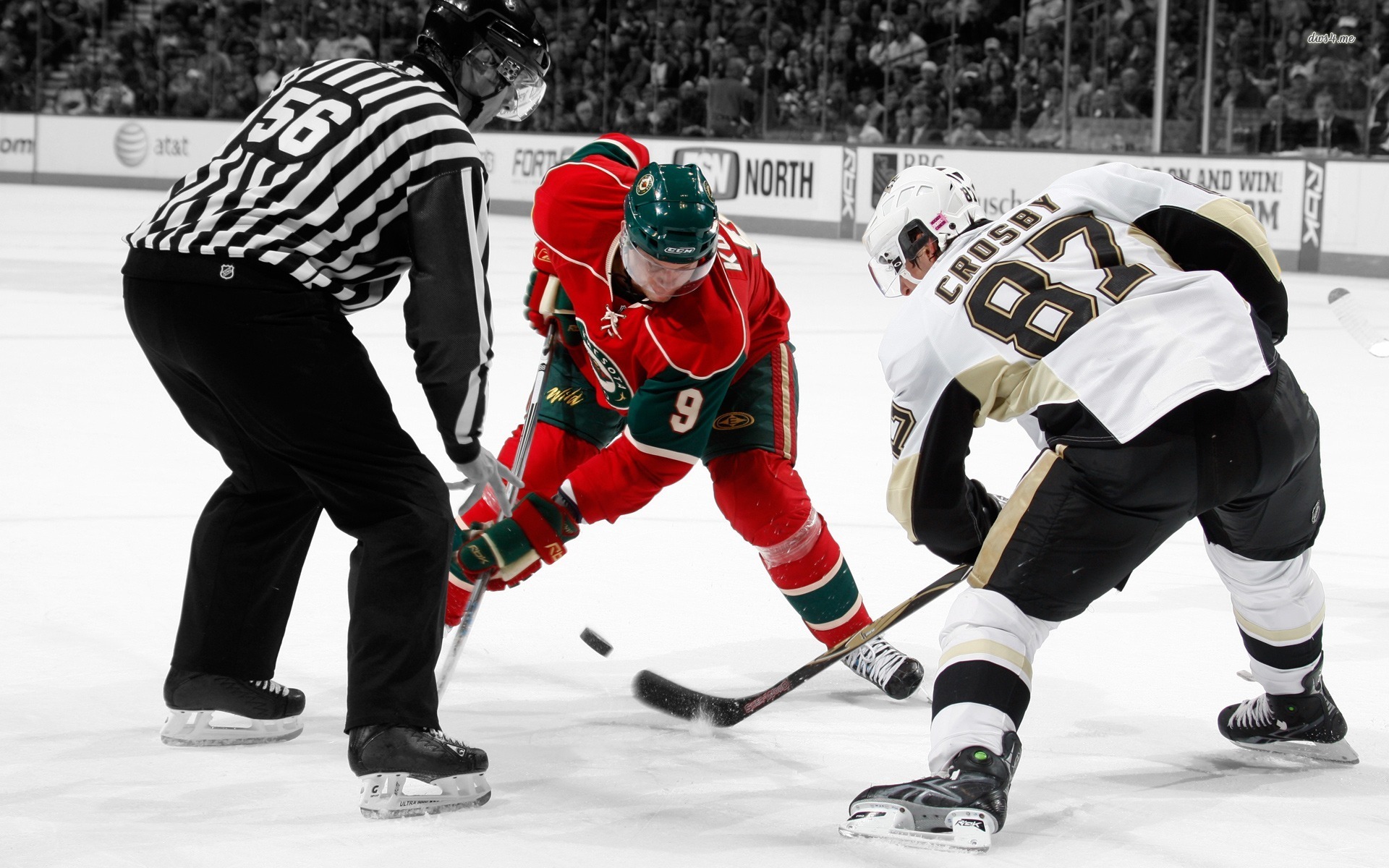 Hd Hockey - HD Wallpaper 