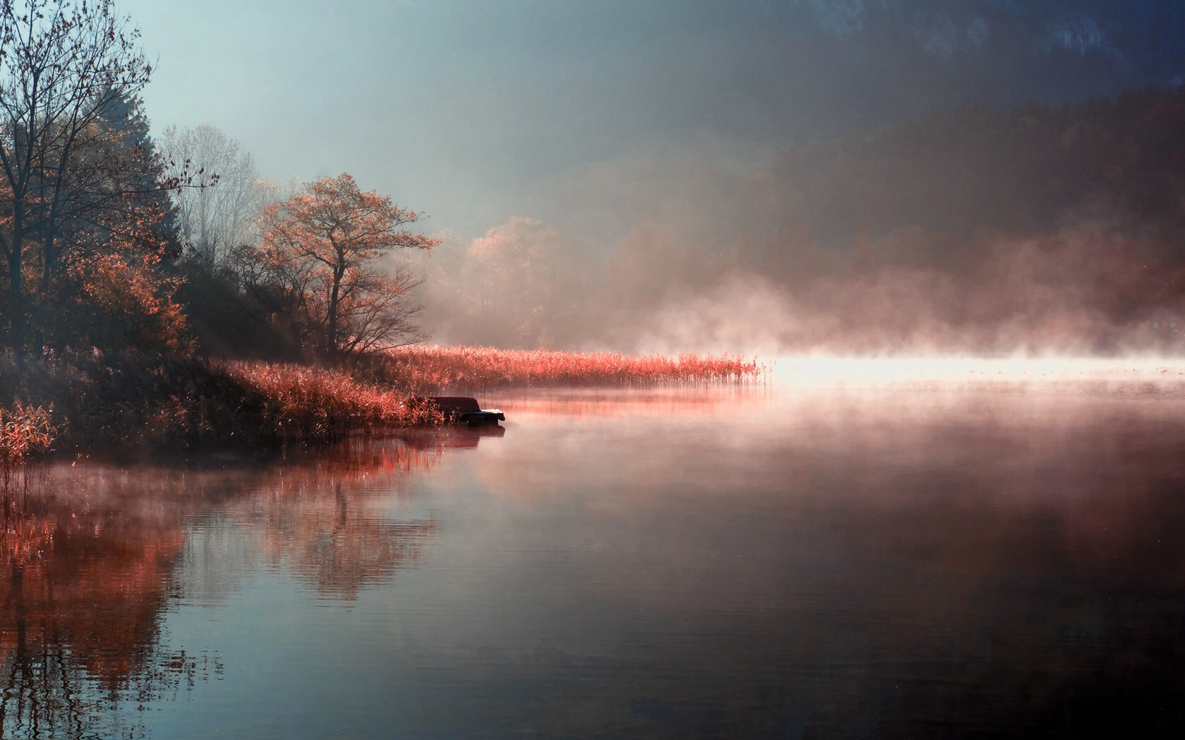 Morning Mist - HD Wallpaper 