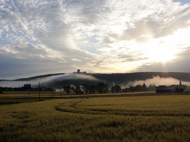 Rolling Mist Wallpaper - Field - HD Wallpaper 