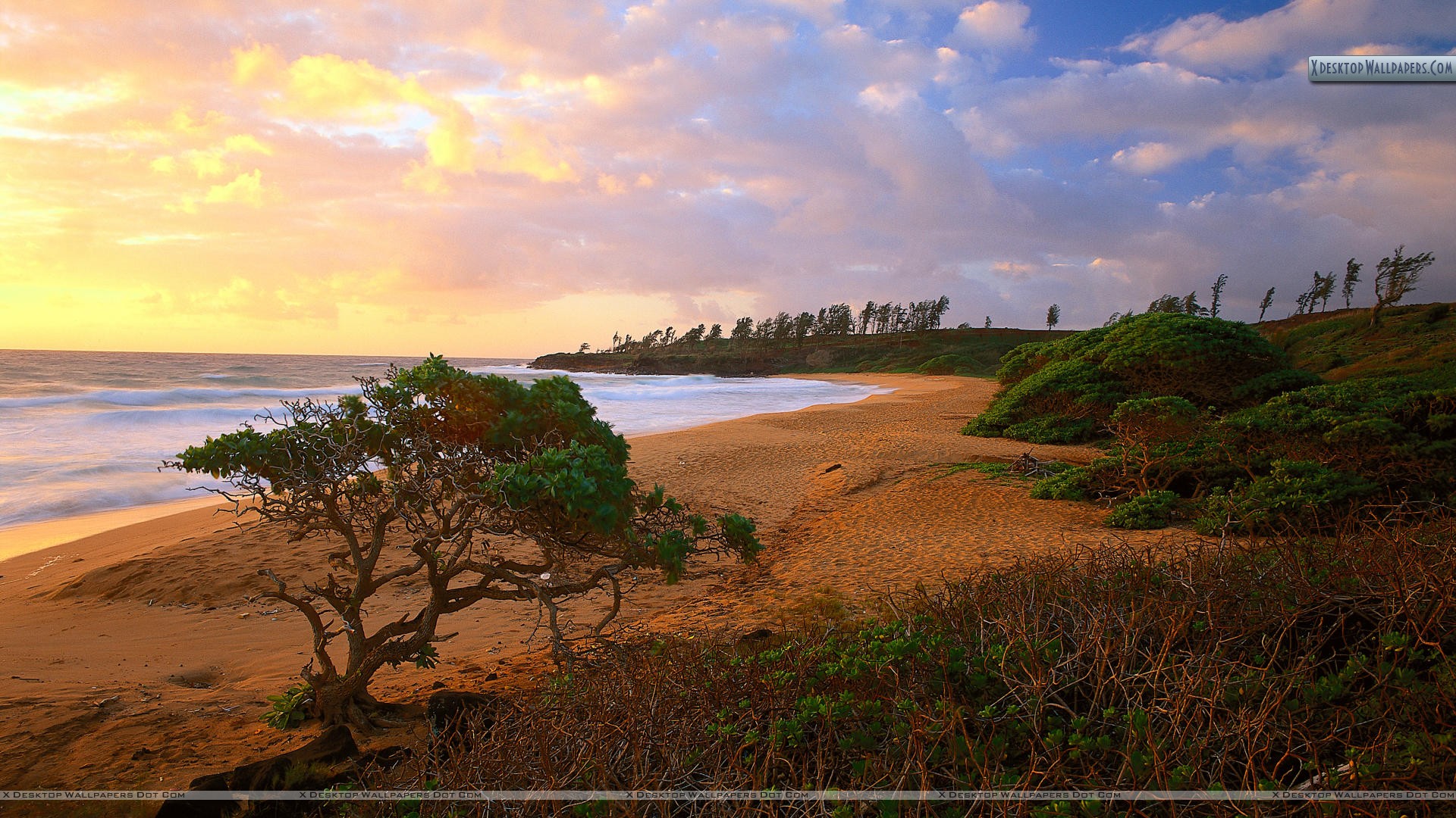 Donkey Beach Kauai - HD Wallpaper 
