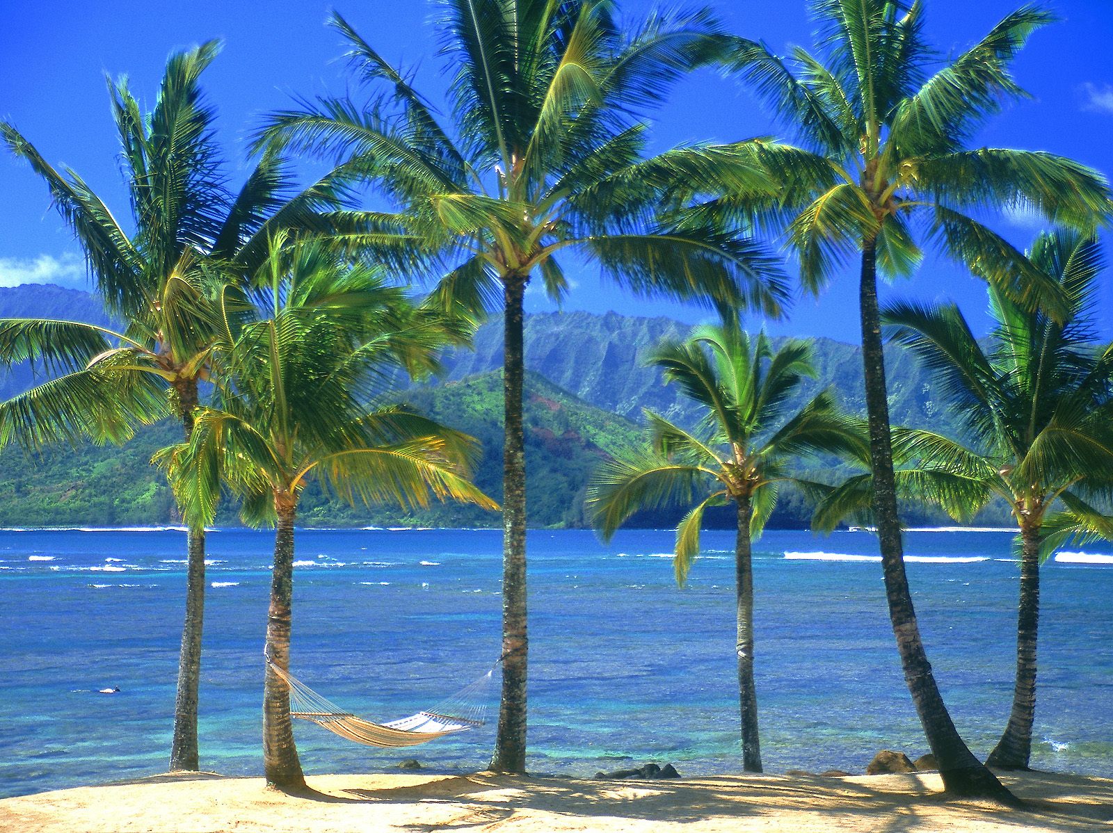 Kauai Hawaii Christian Wallpaper Free Download - Hd Coconut Tree - HD Wallpaper 