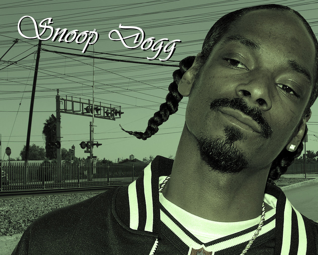 Download Hd Snoop Dogg Computer Wallpaper Id - Snoop Dogg Eyebrows - HD Wallpaper 