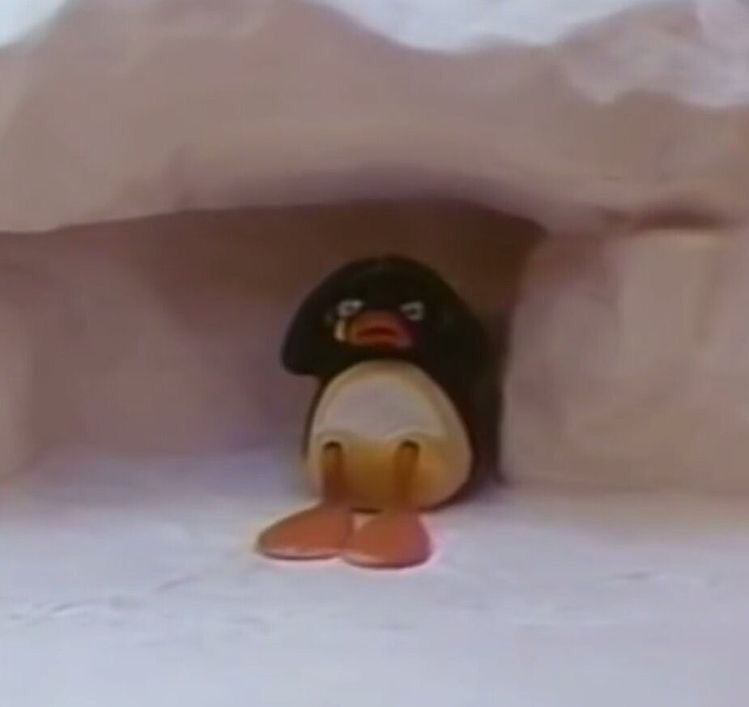 Pingu Reaction - HD Wallpaper 