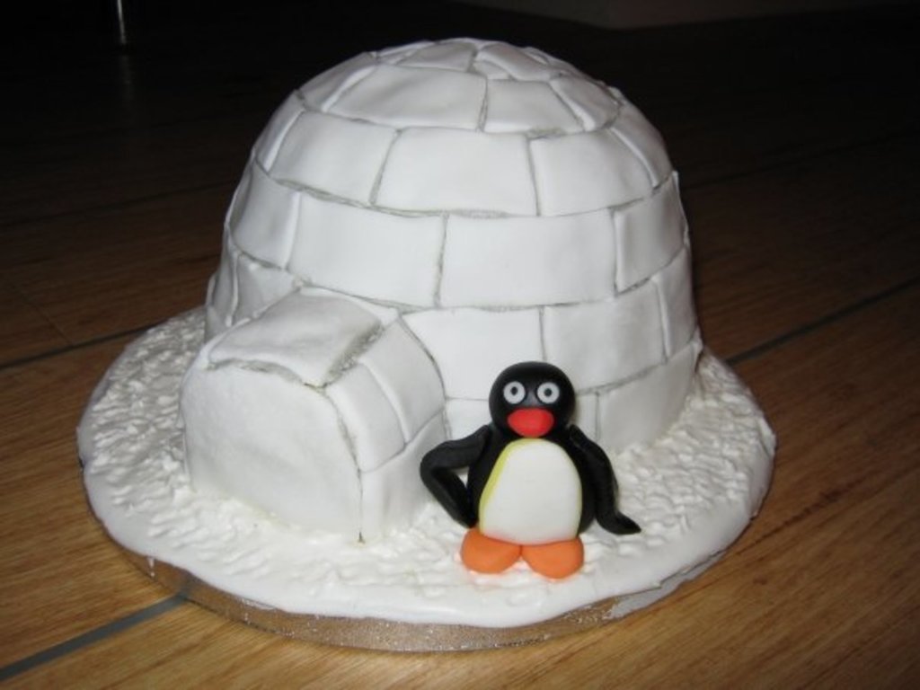 Gentoo Penguin - HD Wallpaper 