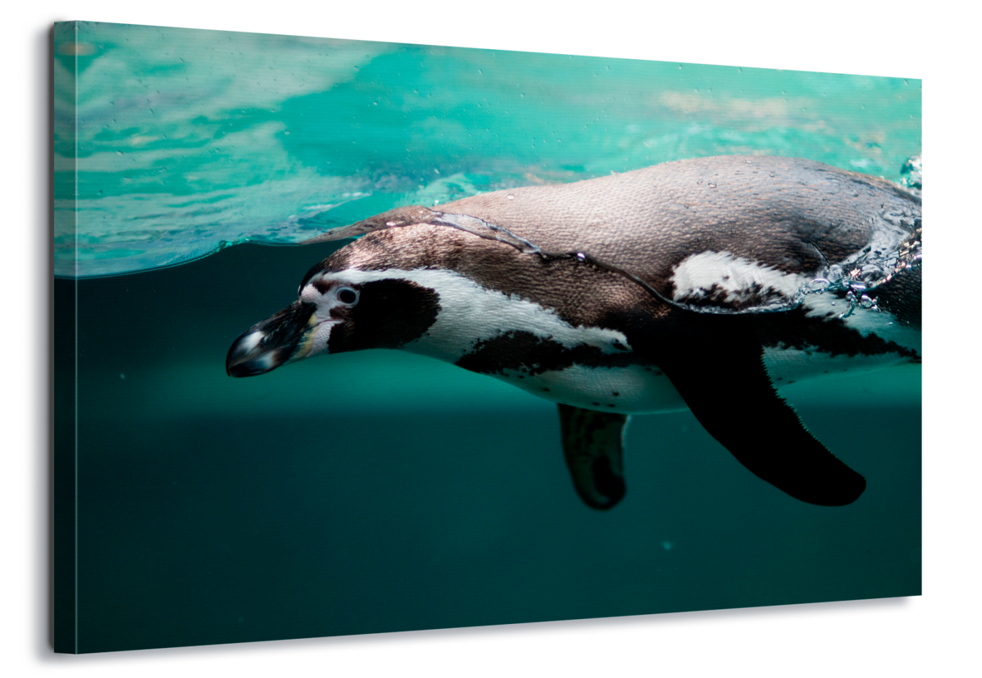 Ocean Pollution Facts For Kids - HD Wallpaper 