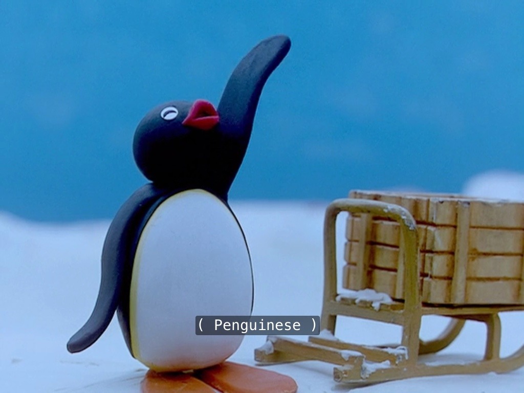 Pingu - HD Wallpaper 