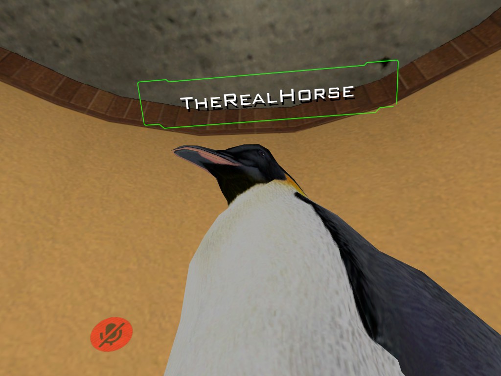 Adã©lie Penguin - HD Wallpaper 