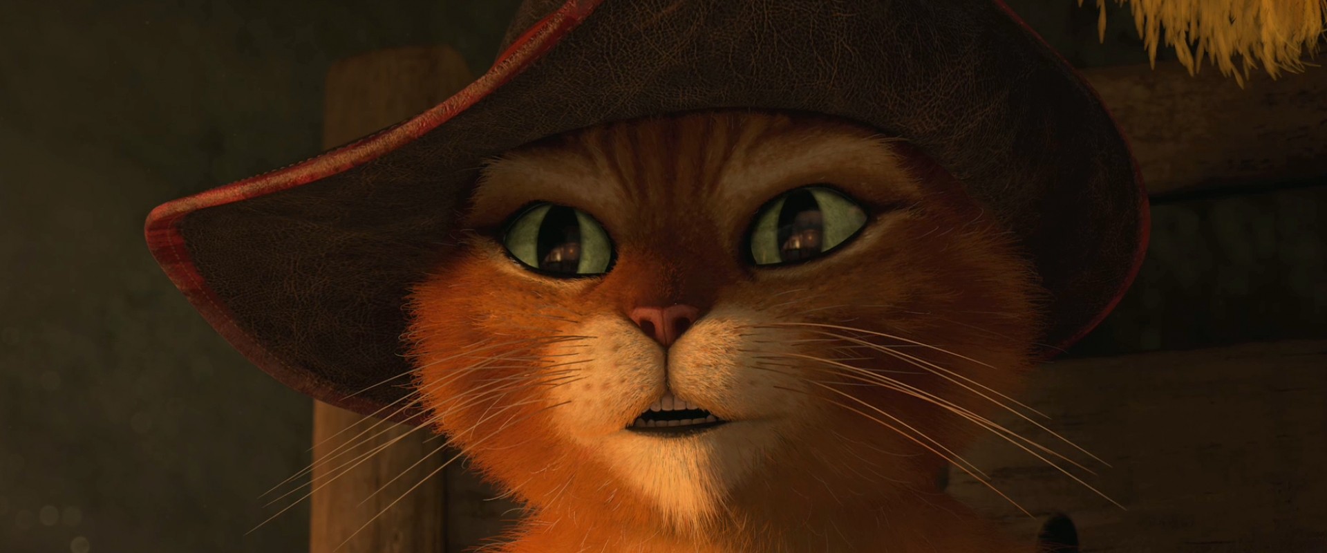 Net Archive, Puss In Boots - Domestic Short-haired Cat - HD Wallpaper 