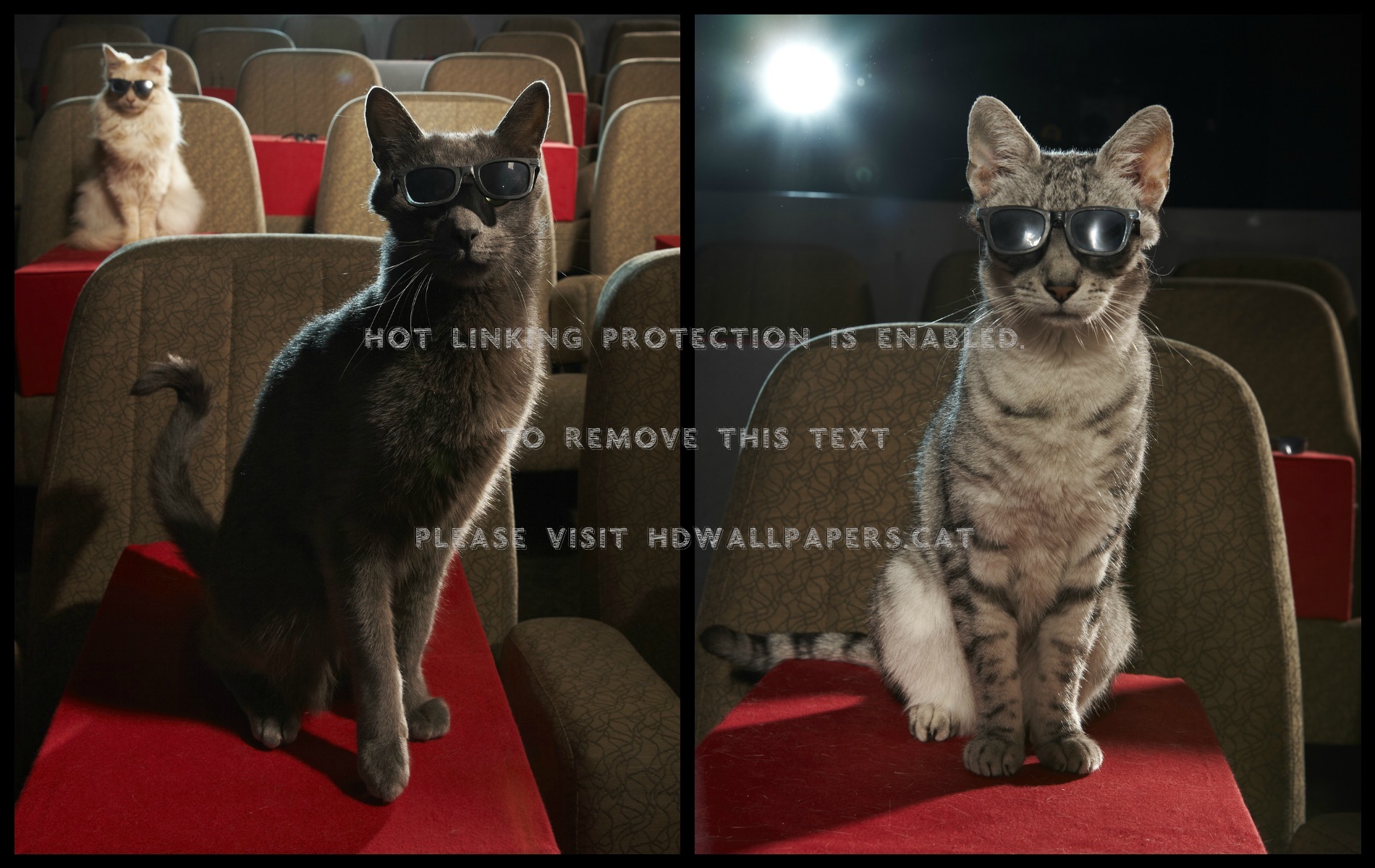 Puss In Boots Collage Dreamworks Cat - Puss In Boots - HD Wallpaper 