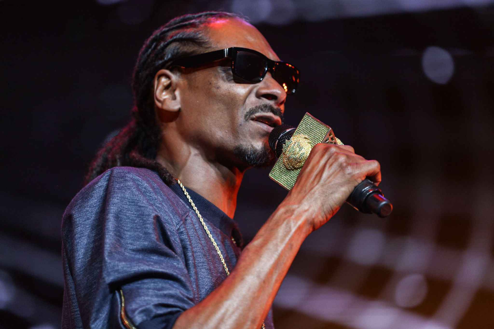 Snoop Dogg Wallpaper - Concert - HD Wallpaper 