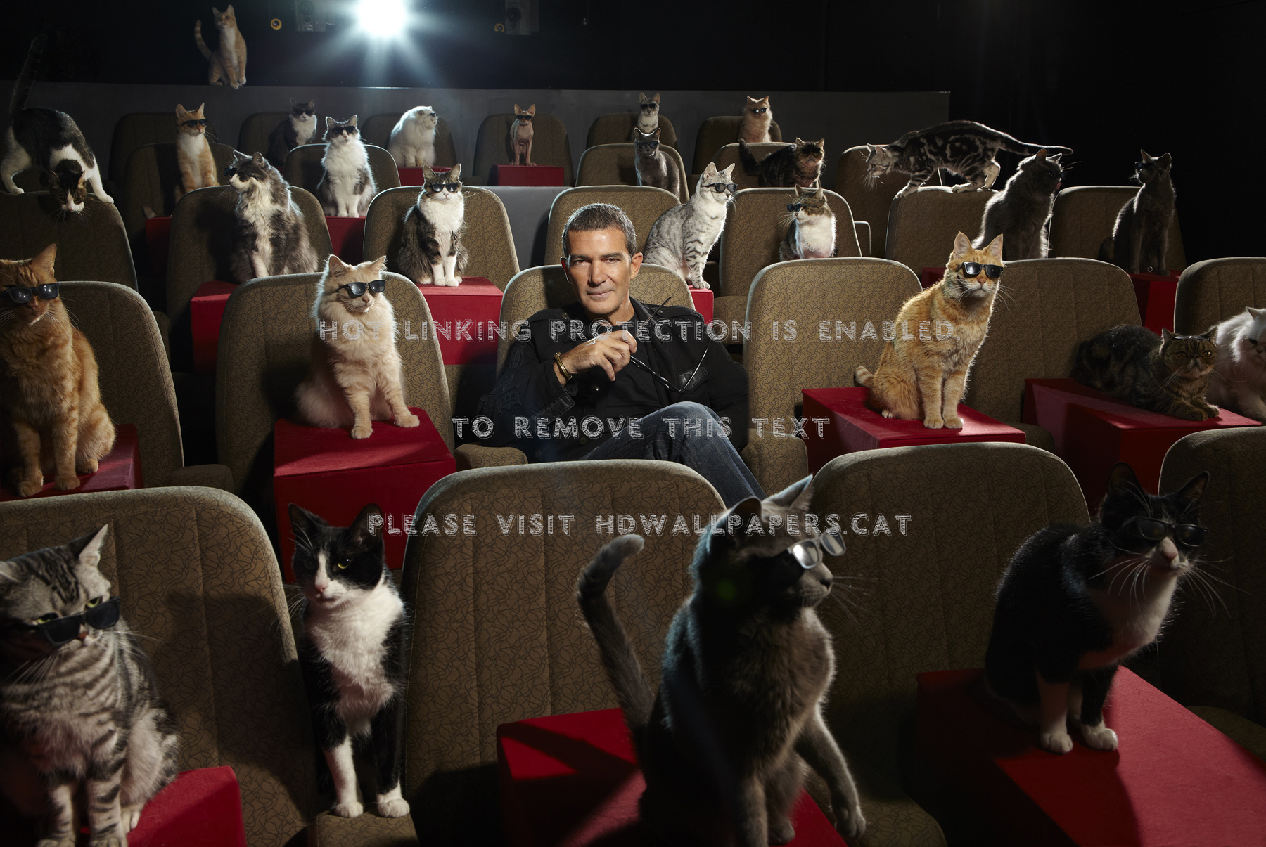 Puss In Boots Dreamworks Animation - Antonio Banderas Puss In Boots - HD Wallpaper 