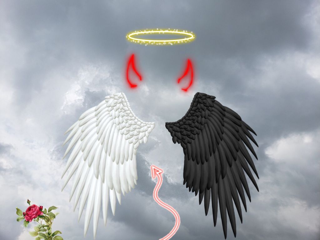 Half Angel Half Demon I Really Like It 💖 - Crane-like Bird - HD Wallpaper 