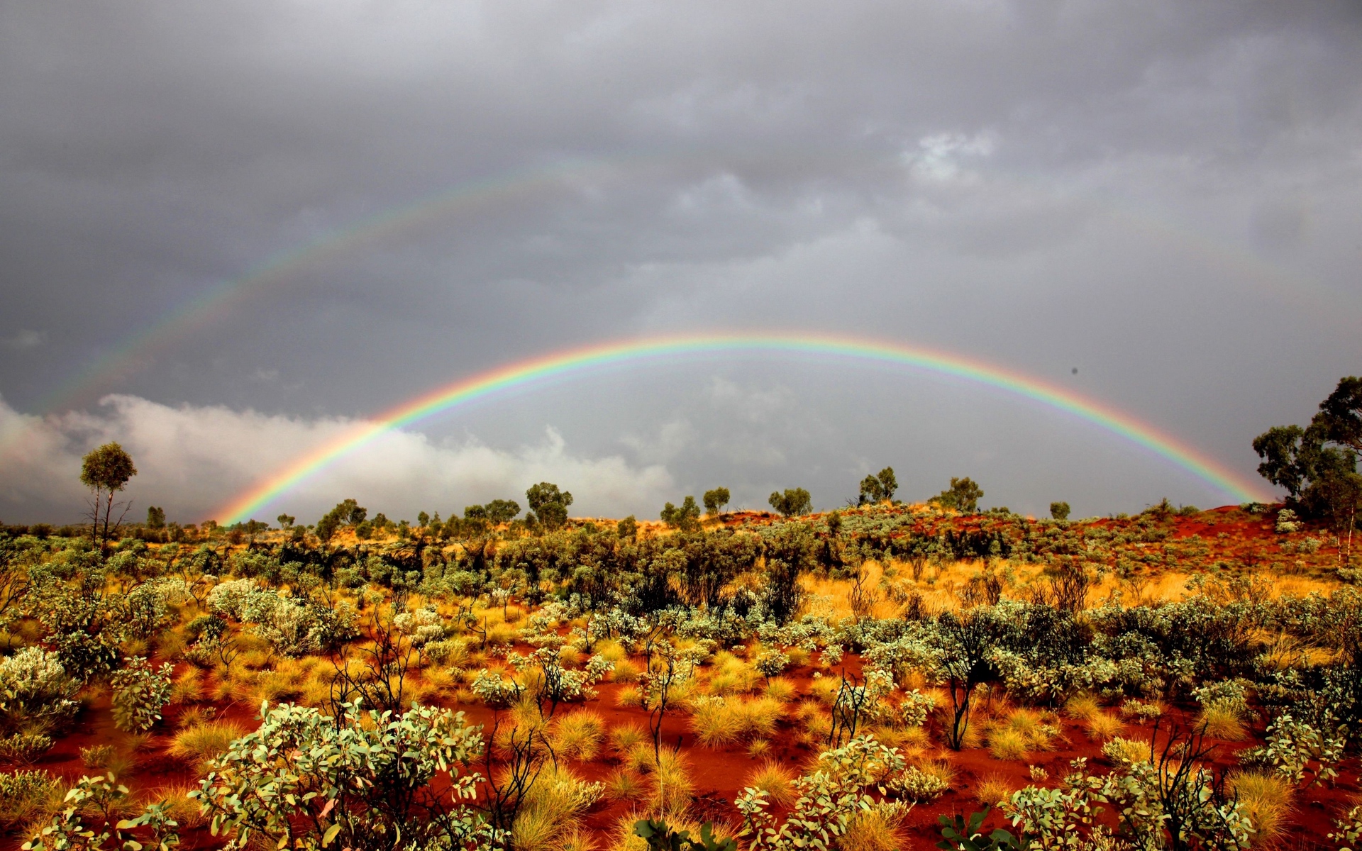 Wallpaper Rainbow, Bushes, Wild West, Vegetation, Sand - Background Wild West Phone - HD Wallpaper 