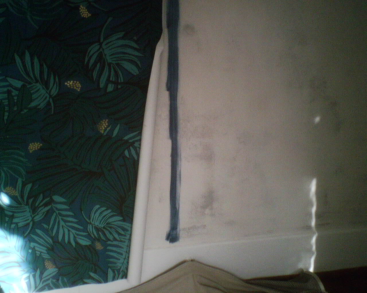 Digital Image - Palm Tree - HD Wallpaper 