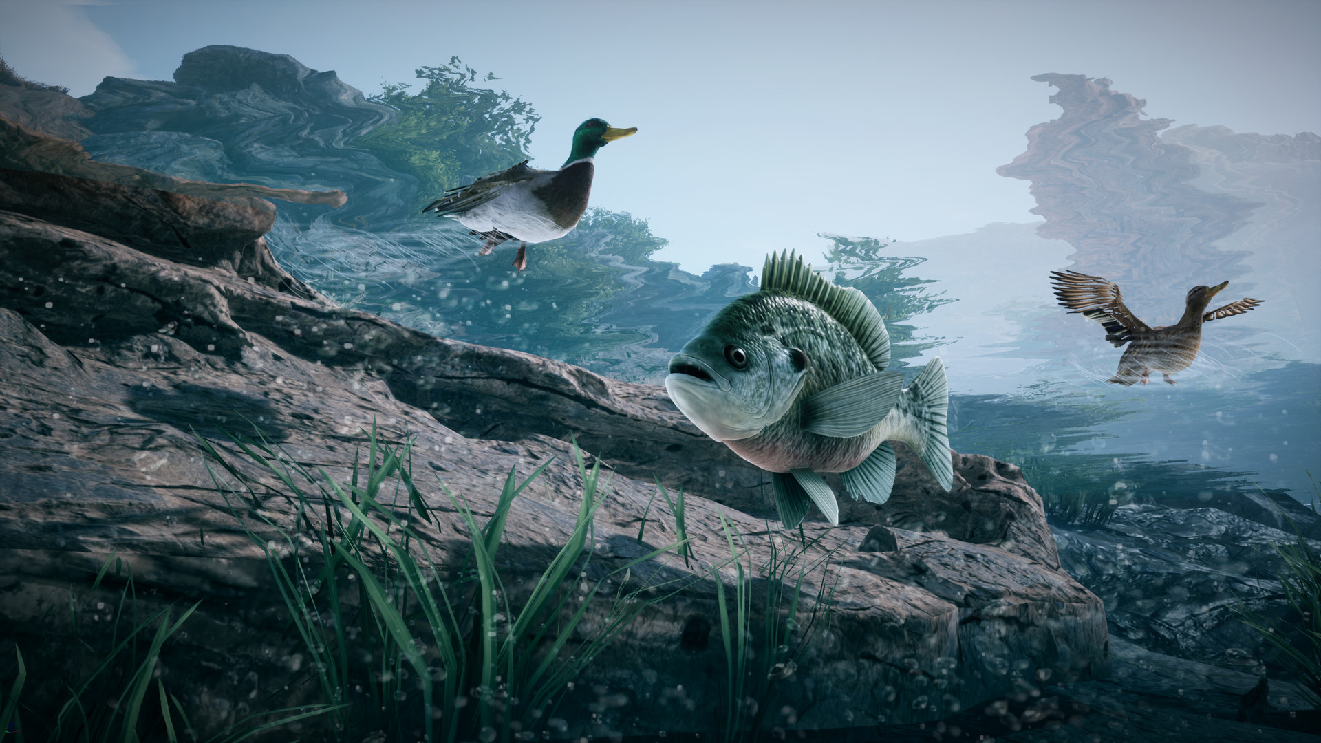 Video Game - HD Wallpaper 