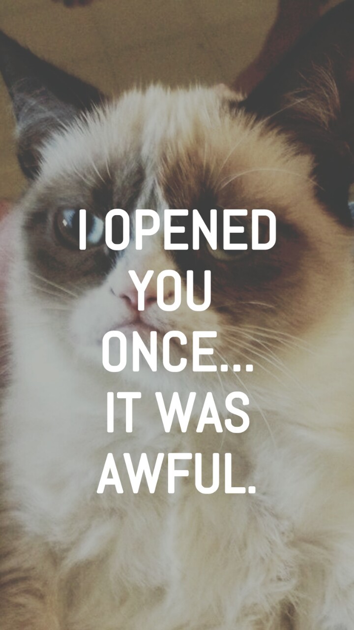 Grumpy Cat Background Iphone - HD Wallpaper 