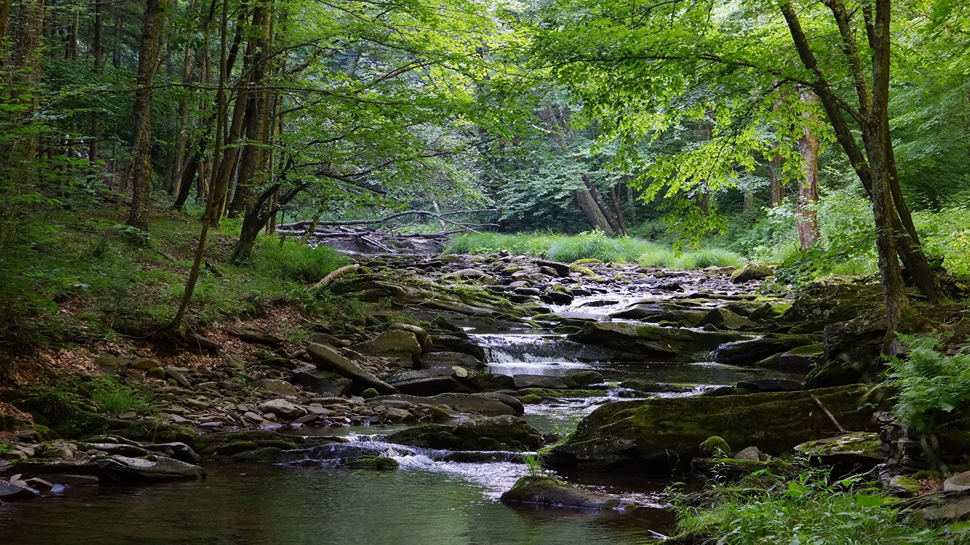 Rio West Virginia Usa - HD Wallpaper 