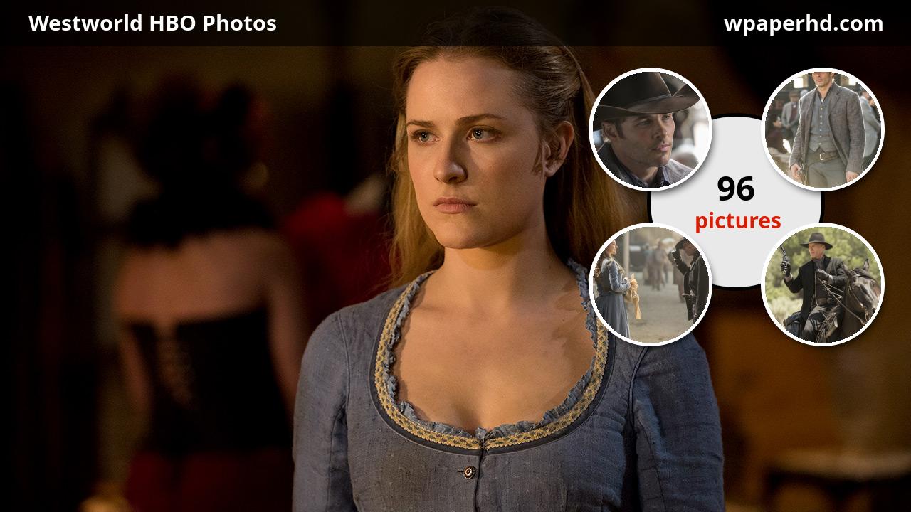 Westworld Dorothy Wallpaper Hd In Westworld Wallpapers - Evan Rachel Wood Quote - HD Wallpaper 