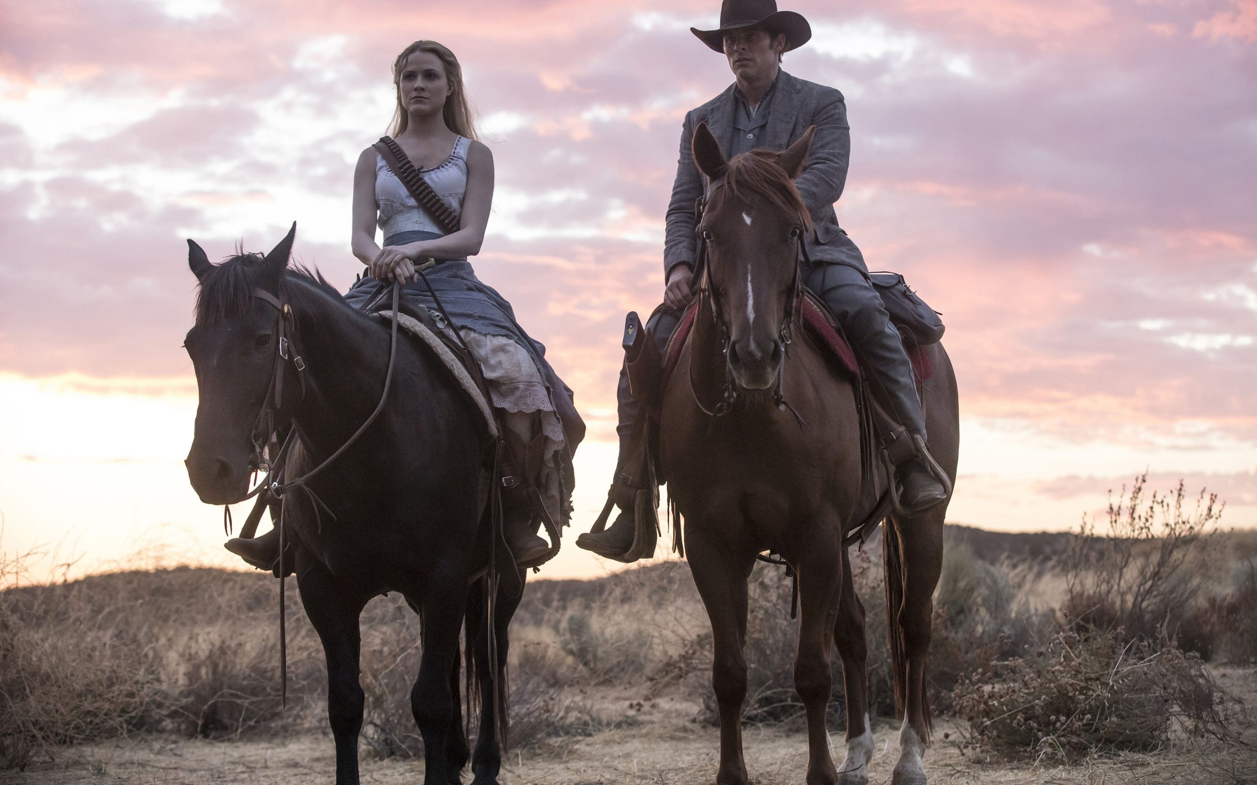 Westworld Iphone Wallpaper - HD Wallpaper 