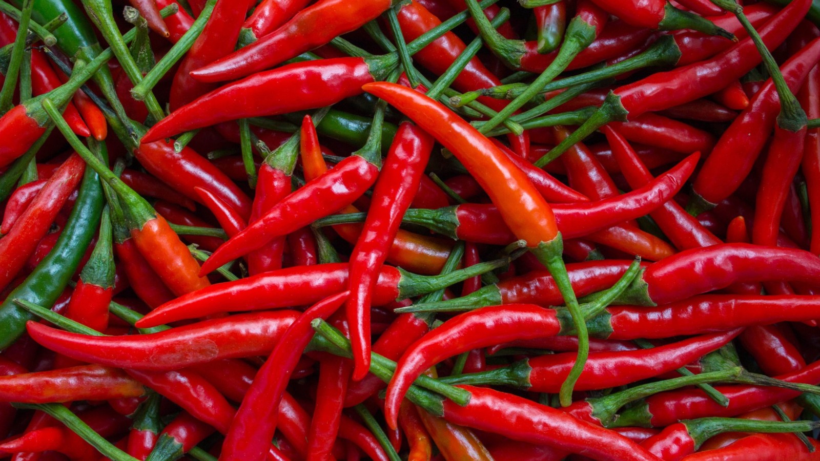 Spicy Food 1600x900 Wallpaper Teahub io