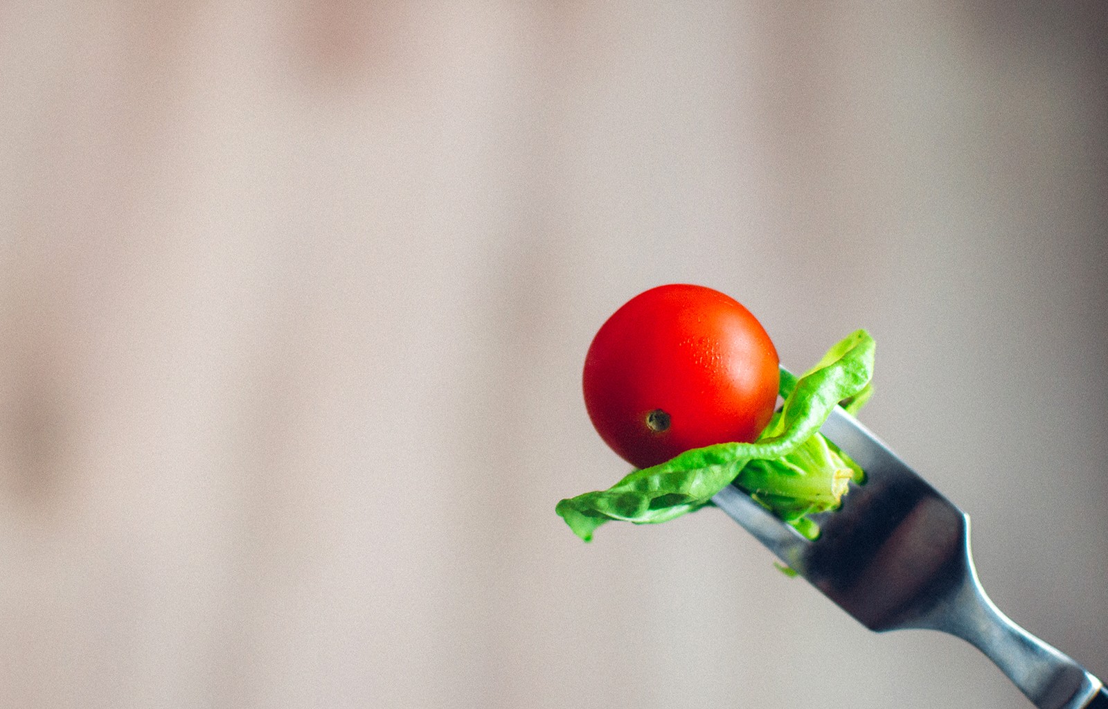 Personas Que Les Gusta Comer - HD Wallpaper 