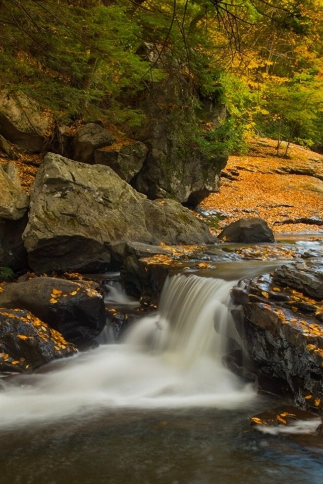 Iphone Wallpaper Pennsylvania, Ohiopyle State Park, - Pennsylvania Iphone - HD Wallpaper 