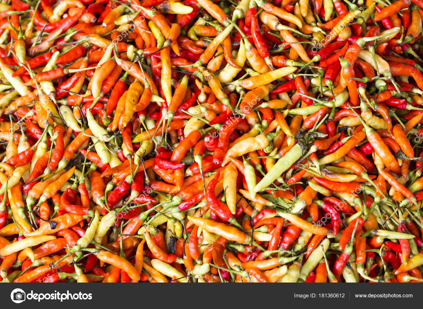 Bird's Eye Chili - HD Wallpaper 