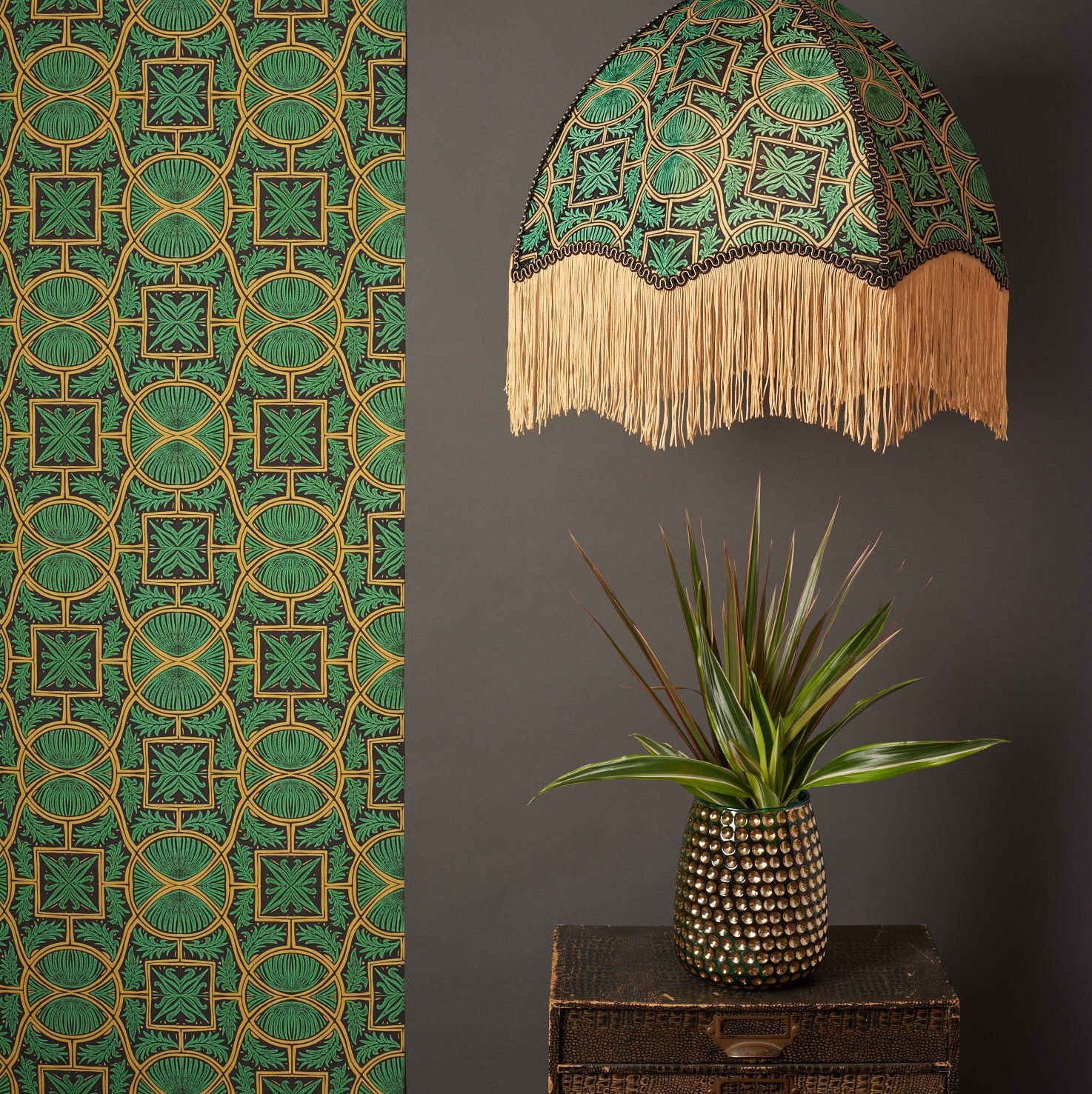 Houseplant - HD Wallpaper 