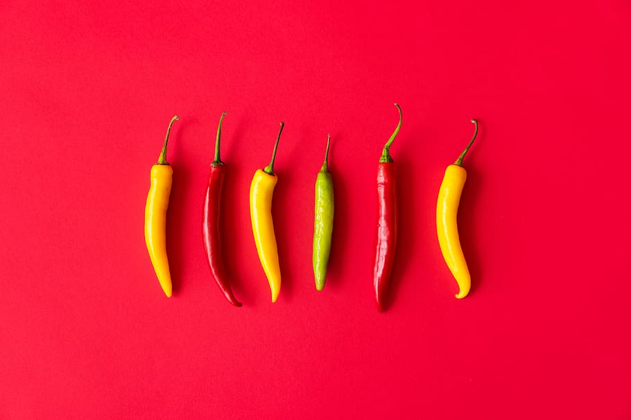 Red, Yellow And Green Hot Chilli Peppers, Farmers, - Red Chilli Wallpaper Hd - HD Wallpaper 