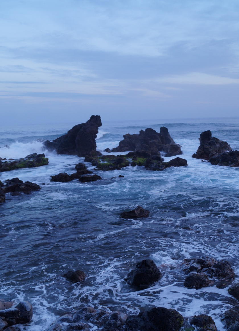 Rocks, Sea Shore, Coast, Hawaii, Wallpaper - Sea - HD Wallpaper 