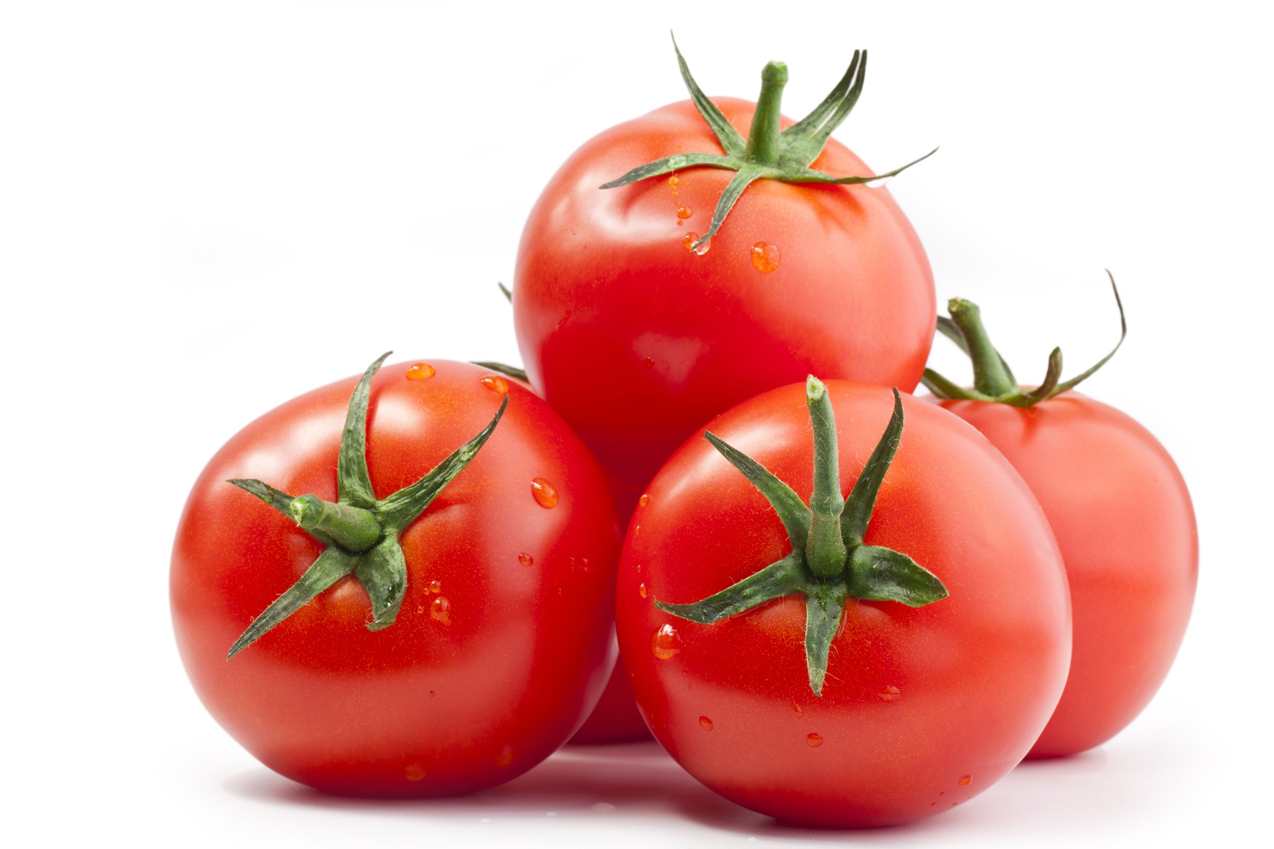 Tomatoes Fresh Vegetables Wallpaper - Tomato Nicotine - HD Wallpaper 