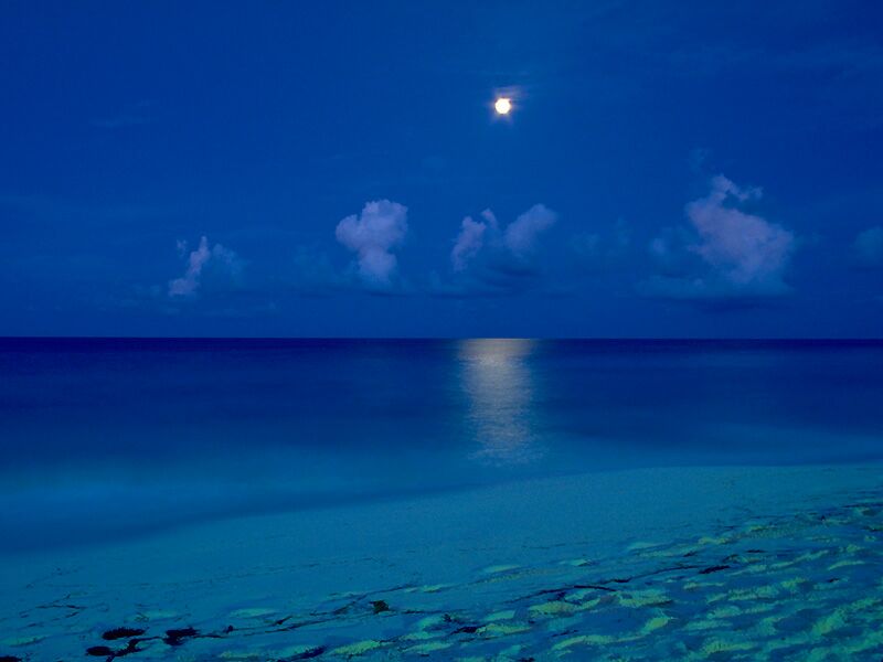By The Light Of The Moon Cancun Mexico - Beach Night Sky Background - HD Wallpaper 