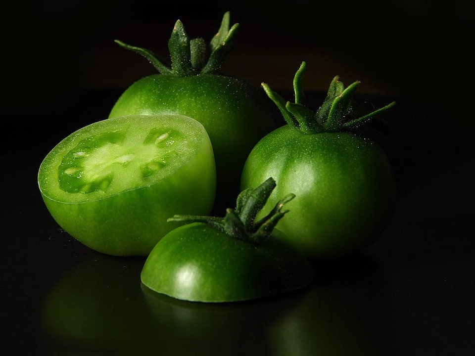 Green Tomatoes - HD Wallpaper 