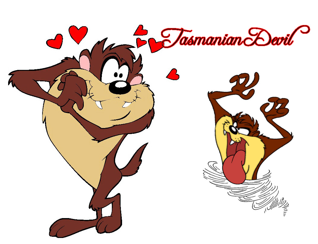 Looney Toon Tasmanian Devil - Tasmanian Devil Cartoon Love - 1055x810  Wallpaper 