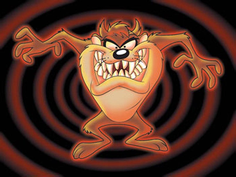 Taz The Tasmanian Devil Wallpaper - Taz Backgrounds - HD Wallpaper 