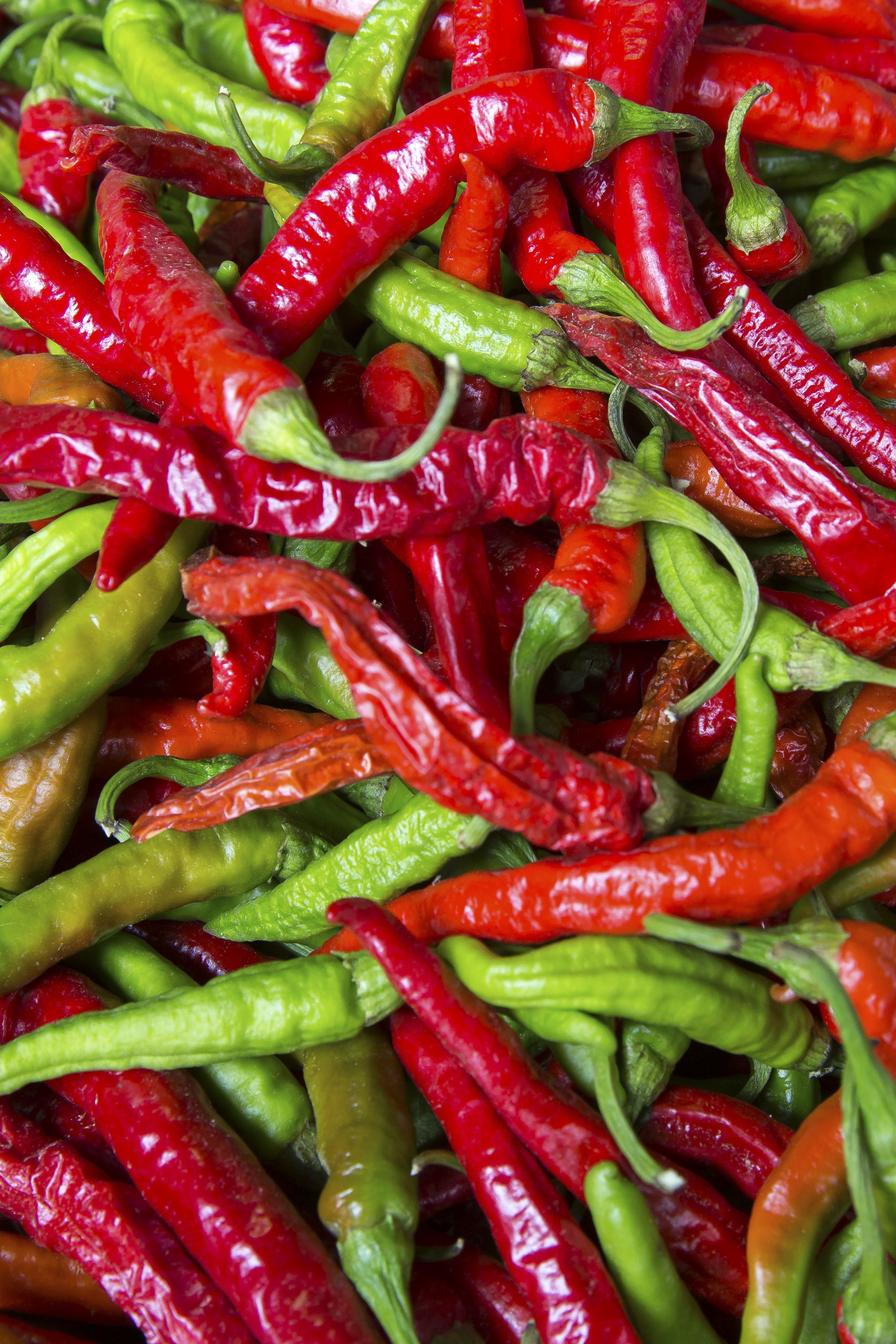 Chili Pepper - HD Wallpaper 
