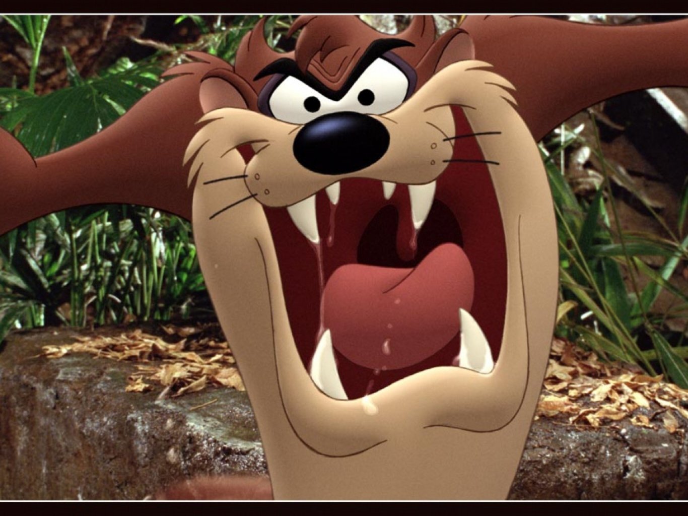 Looney Tunes Back In Action Tasmanian Devil - HD Wallpaper 