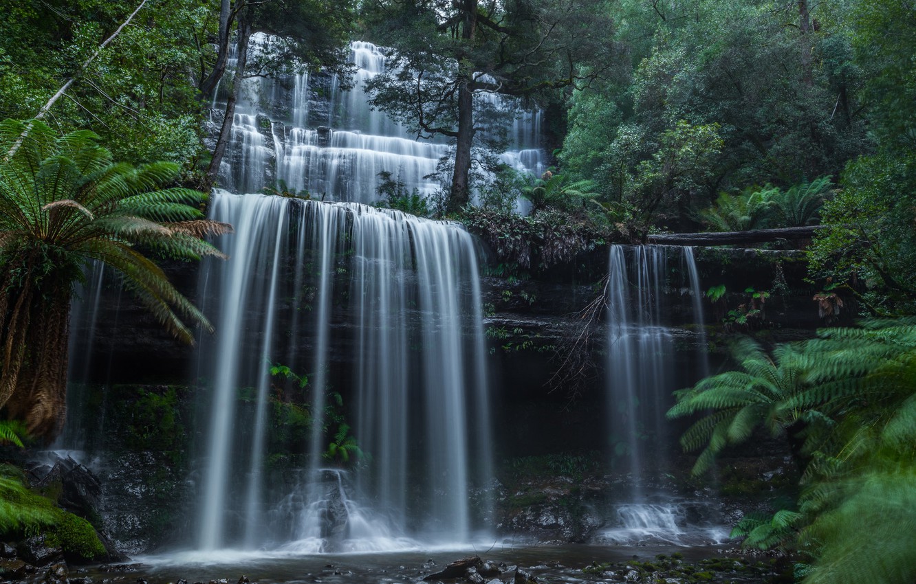 Photo Wallpaper Forest, Waterfall, Australia, Cascade, - Waterfall - HD Wallpaper 