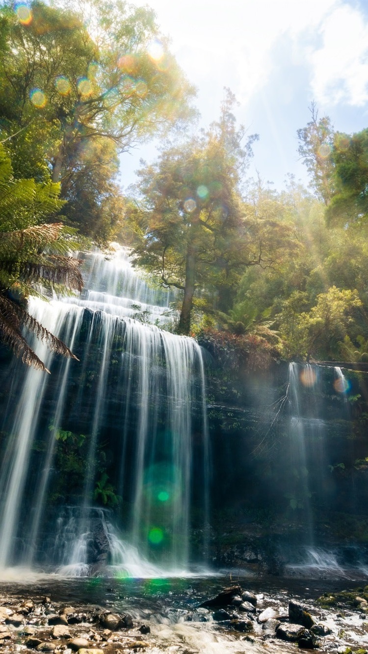 Iphone Wallpaper Tasmania, Beautiful Waterfall, Jungle - Джунгли Обои На Айфон - HD Wallpaper 