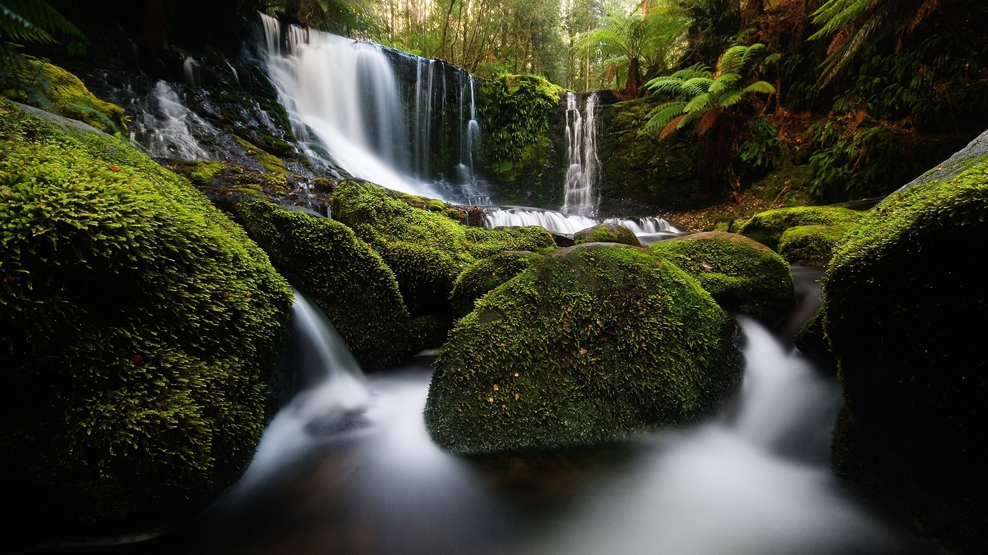 Landscapes Nature Rocks Moss Tasmania Australia Ferns - Waterfalls Canvas - HD Wallpaper 