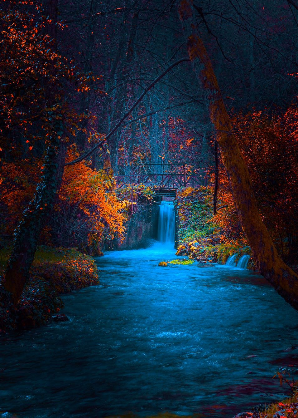 Wallpaper - HD Wallpaper 