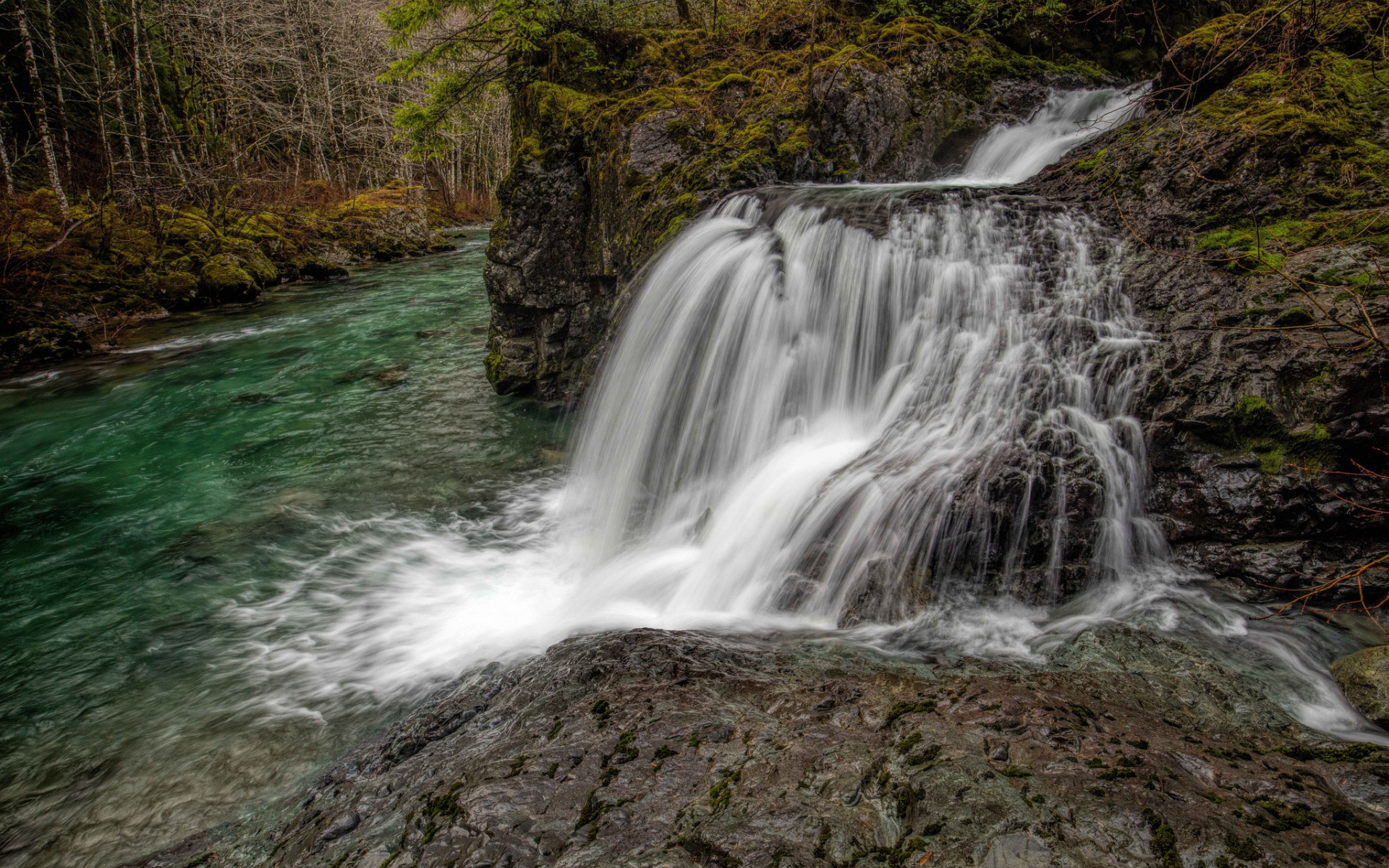 Gordon River, Waterfall, Forest, Spring, River, Tasmania - Waterfall - HD Wallpaper 