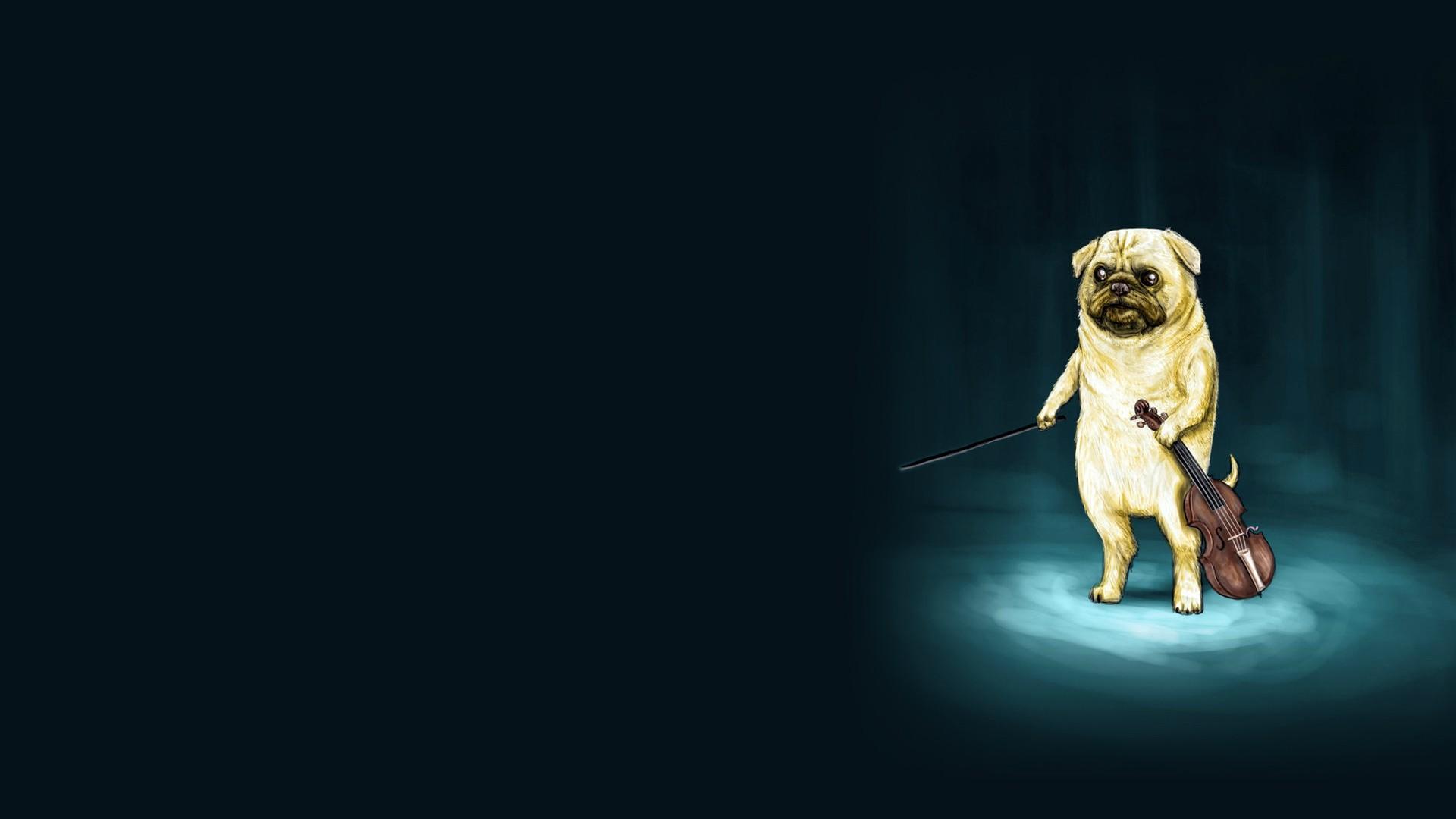 Pug Playing The Violin - HD Wallpaper 