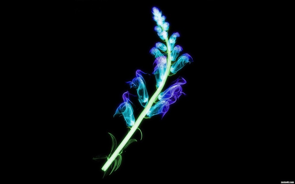 Glow In The Dark Paint Backgrounds - HD Wallpaper 