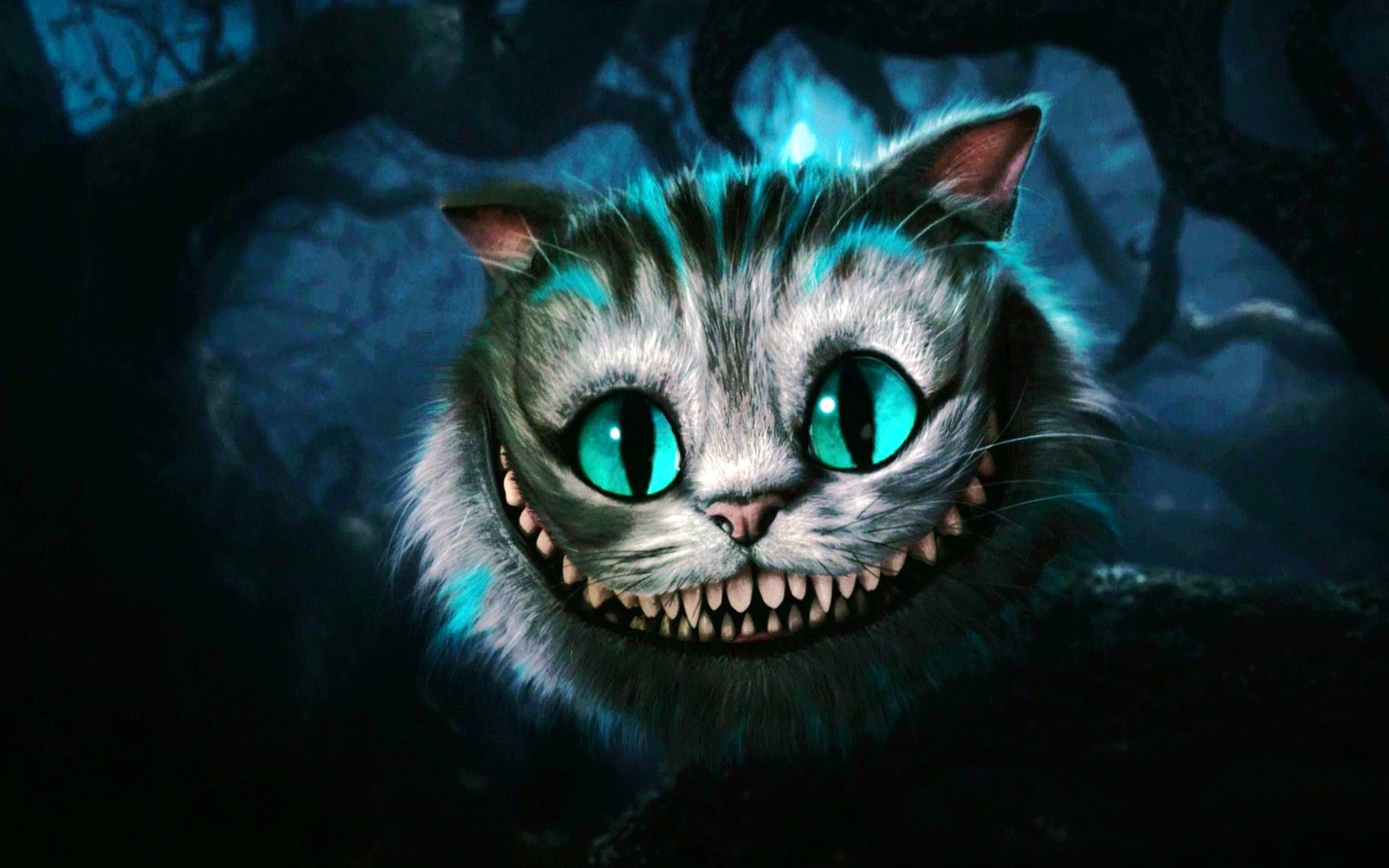 Cat-wallpapers Hd - Cheshire Cat Wallpaper Hd - HD Wallpaper 